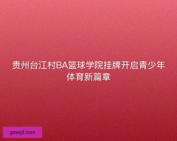 贵州台江村BA篮球学院挂牌开启青少年体育新篇章 贵州台江村BA篮球学院挂牌开启青少年体育新篇章